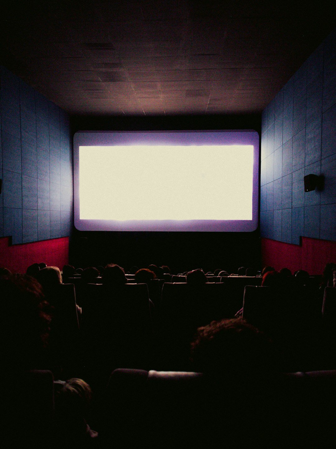 cinema audience watching movie